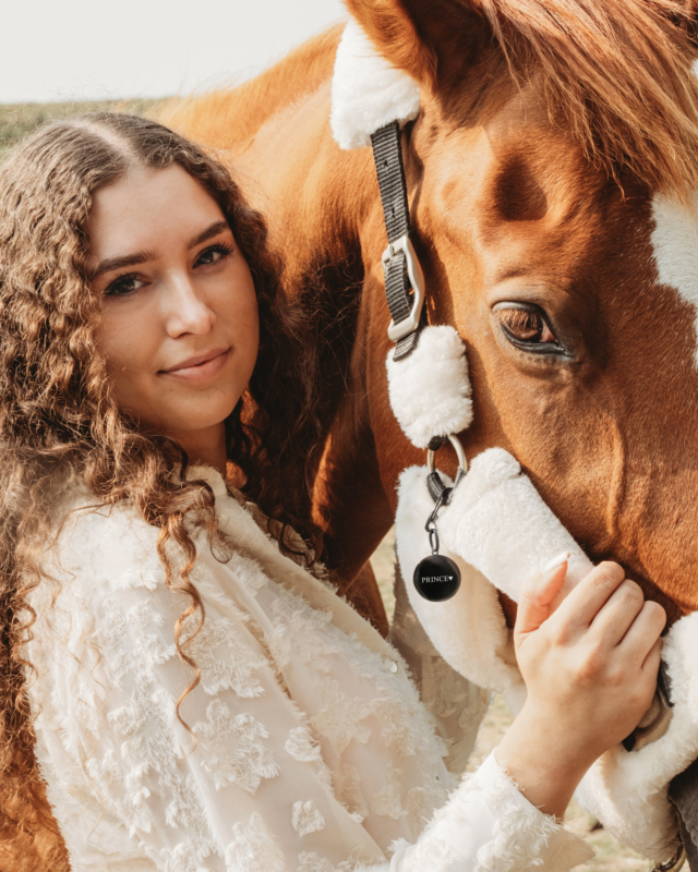 Paardenpenning in de kleur zwart