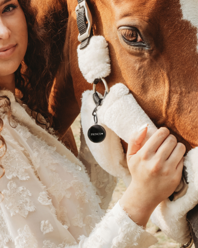 Zwarte paardenpenning met gravering