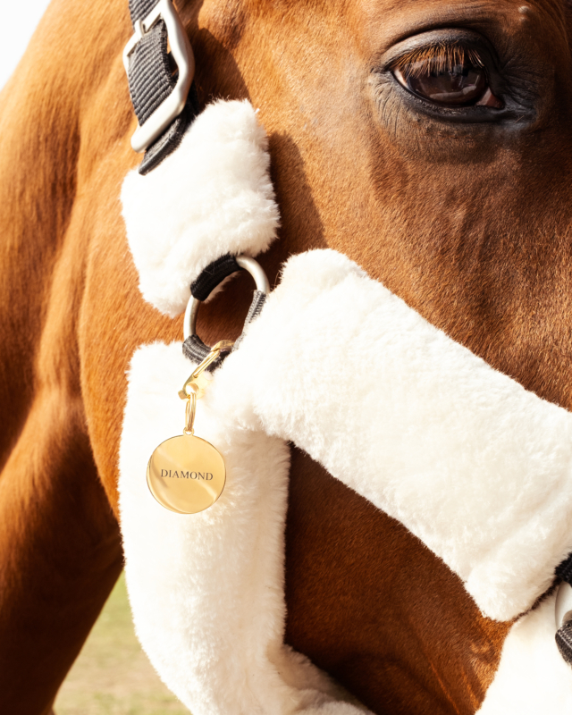 Gouden paardenpenning