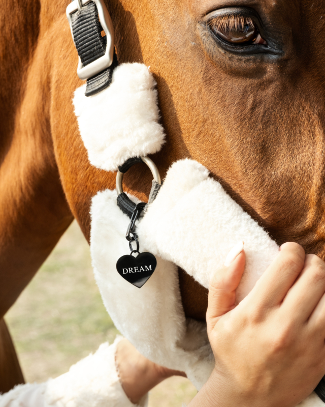 Paardenpenning zwart graveren