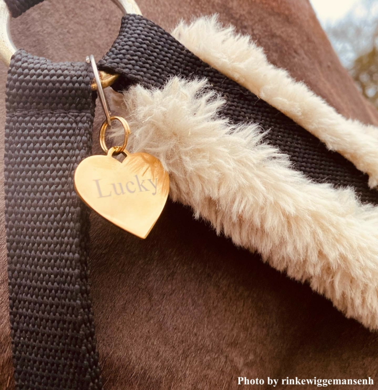 Paard draagt gouden dierenpening