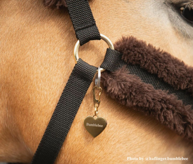 Influencer met paardenpenning love