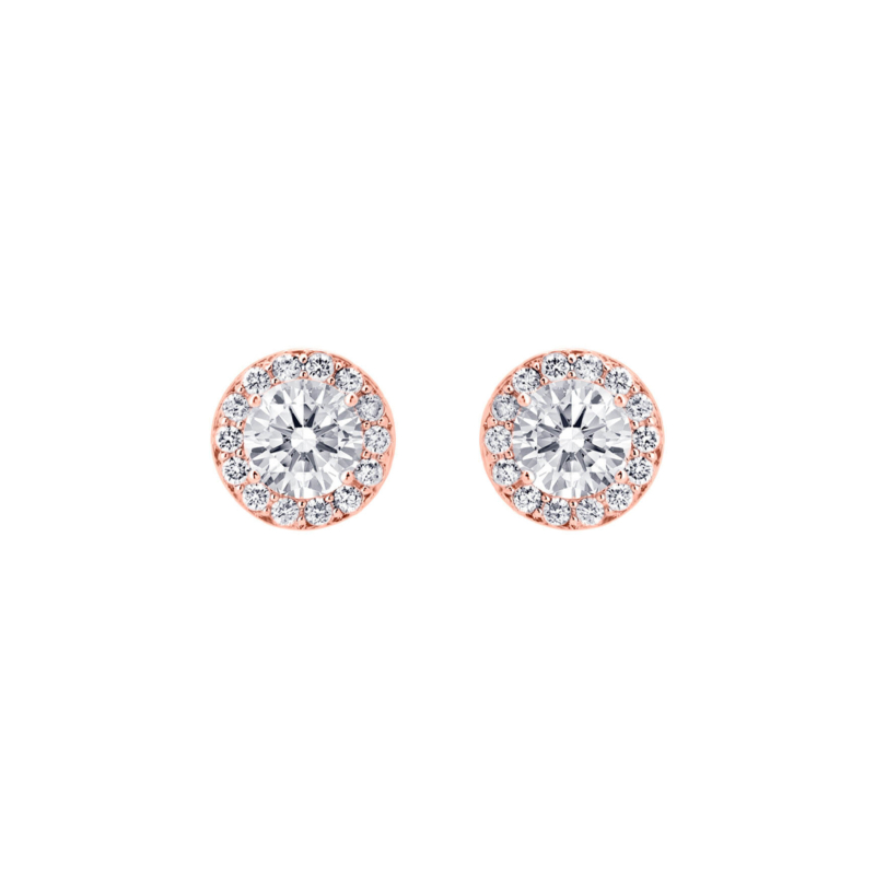 Daily Luxury Earrings Rose Gold