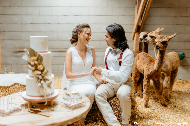 Bruid draagt drks sieraden tussen de alpaca's