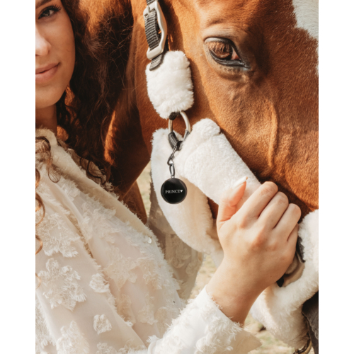 Paardenpenning name tag zwart