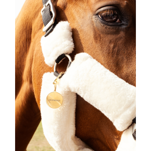 Paardenpenning name tag goudkleurig