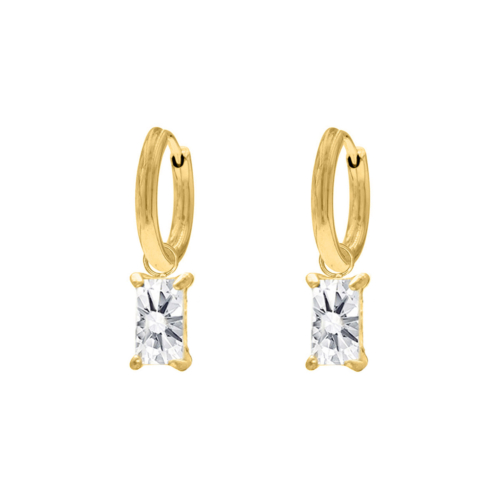 Special gift earrings goldplated