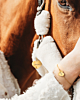 Gouden paardenpenning en armband