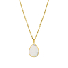 Ketting sea shell goud kleurig