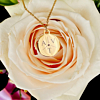 Gouden ketting met drie letters en roosje