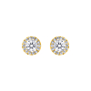 Daily Luxury Earrings Gold