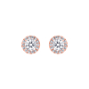 Daily Luxury Earrings Rose Gold